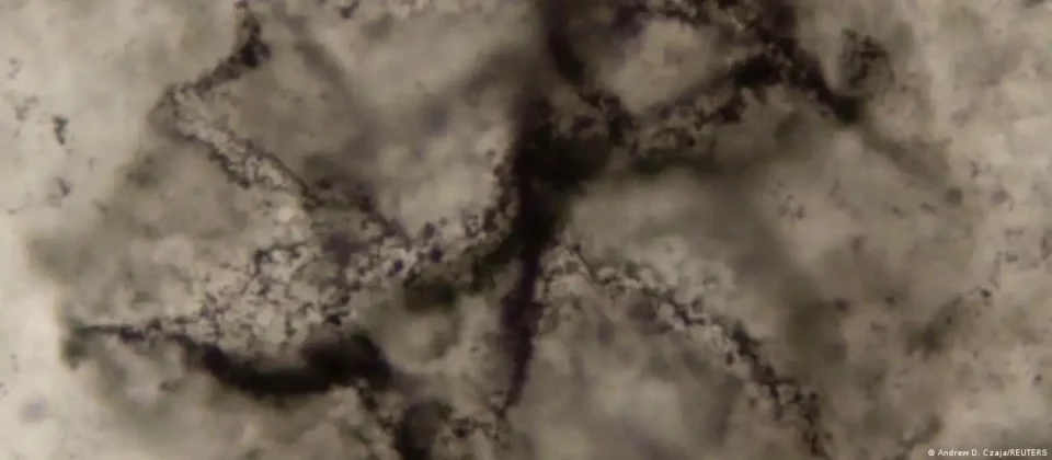 Detectan señales de vida en rocas de 3.300 millones de años