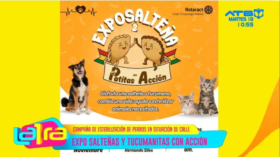 Llega la ´Expo salteñas y tucumanas con acción´ para ayudar a las mascotas en situación de calle