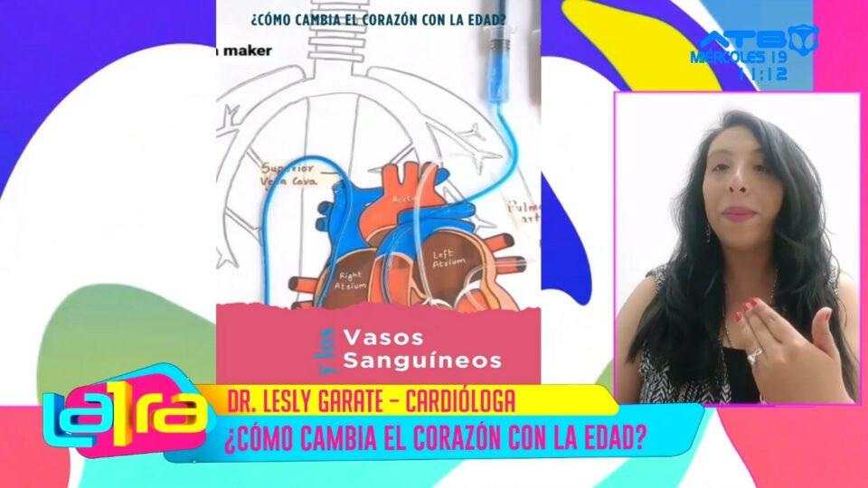 Las graves consecuencias que la edad lo perdona se evidencian en el corazón