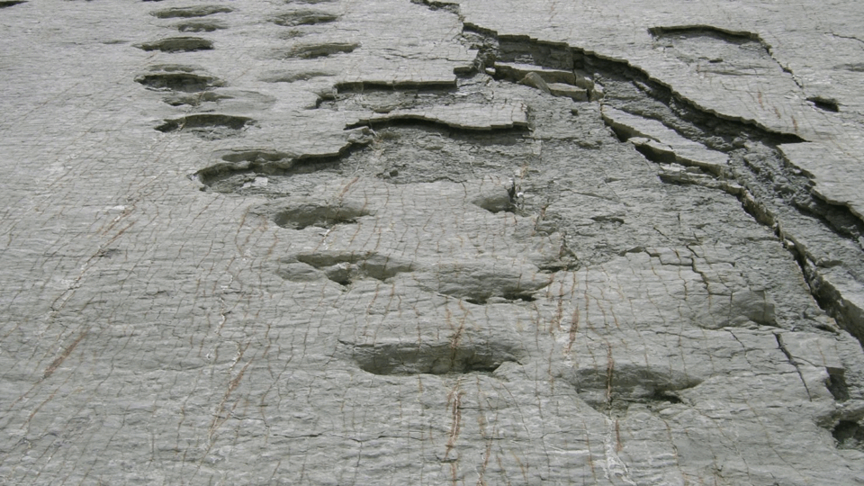 Advierten posible desaparición del Cal Orck’o en Sucre, donde se hallaron 12 mil huellas de dinosaurios