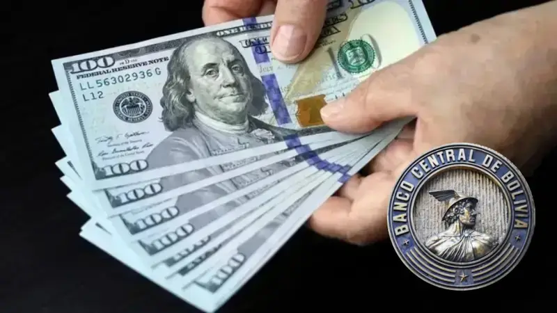 Así cotiza el dólar paralelo este 2 de diciembre y este es el tipo de cambio del BCB