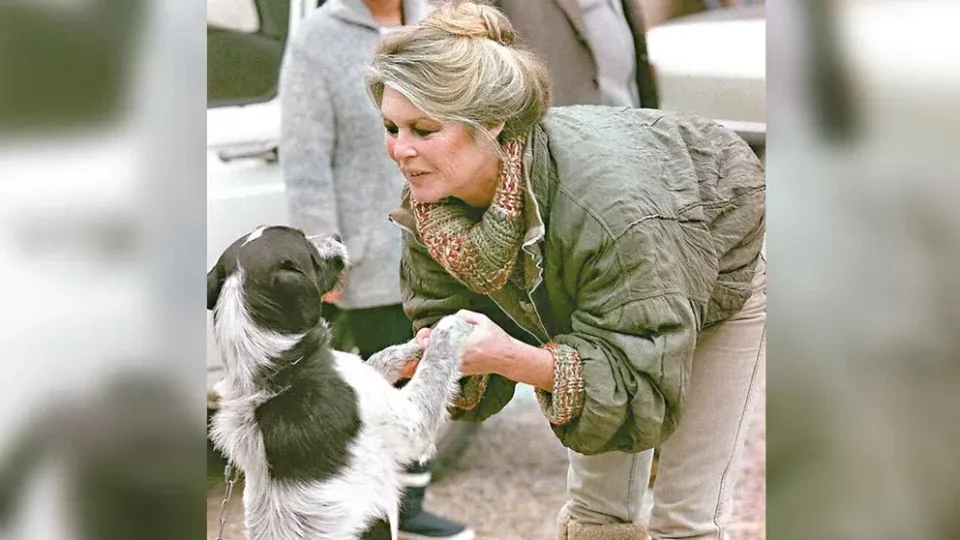 Embajador francés resalta la labor social de Brigitte Bardot en Bolivia