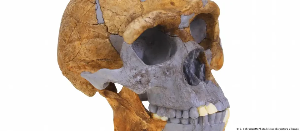Una recreación virtual aporta nuevas pistas sobre el Homo erectus primitivo