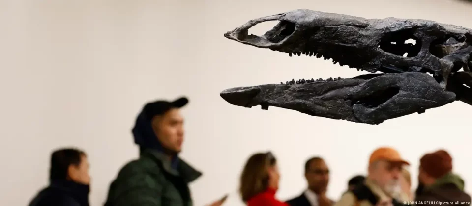 Nuevas especies latinoamericanas descubiertas en 2025