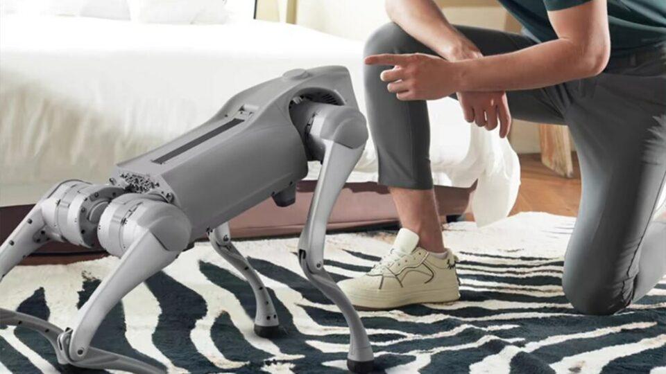 Tener un perro robot ya es realidad: descubre el asistente con IA en oferta