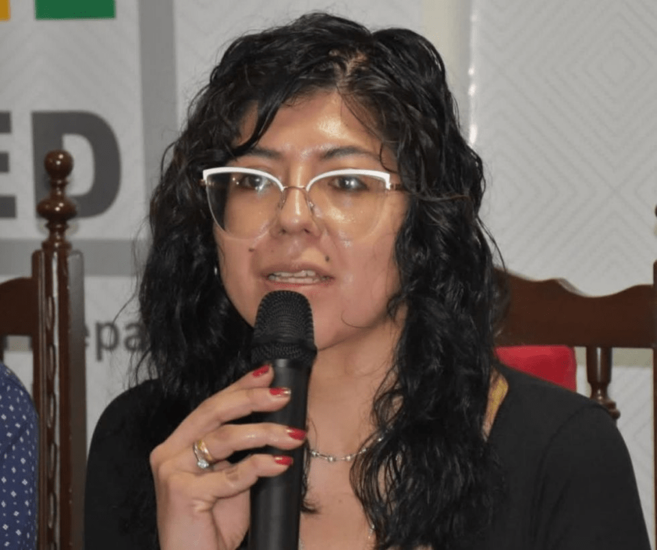 TED Tarija inicia etapa de revisión de candidaturas