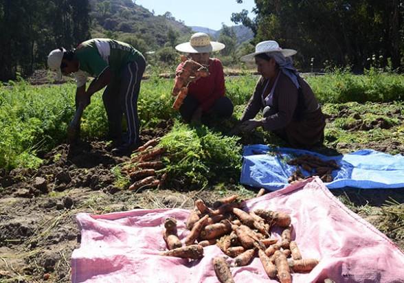 Gobierno y agropecuarios de Cochabamba acuerdan incrementar producción