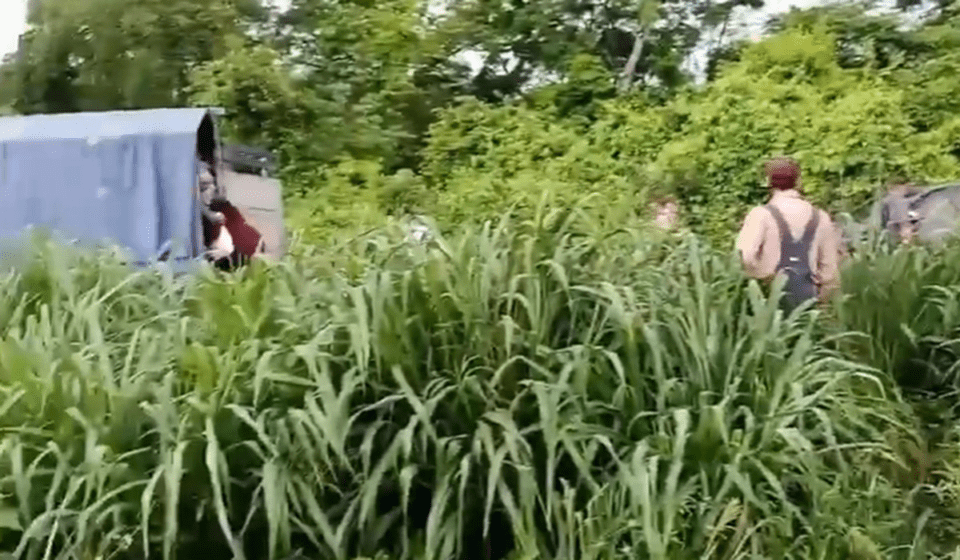 Avasalladores intentan ocupar previos de la comunidad menonita en Santa Cruz