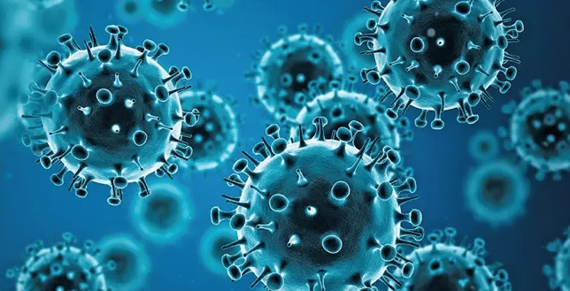 Alerta naranja en Santa Cruz por caso sospechoso de gripe AH3N2 variante K