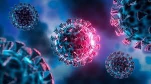 Ministra de Salud y Deportes confirma dos casos positivos de influenza H3N2 subclase K