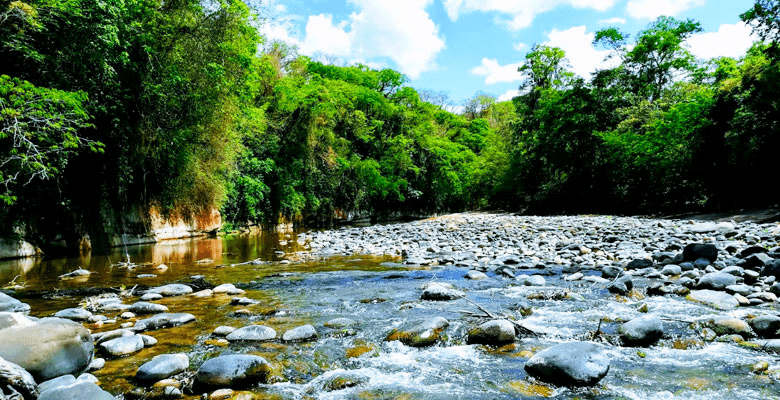Tariquía se vuelve un tema crucial a resolver en Tarija y resuena en el inicio de la campaña subnacional