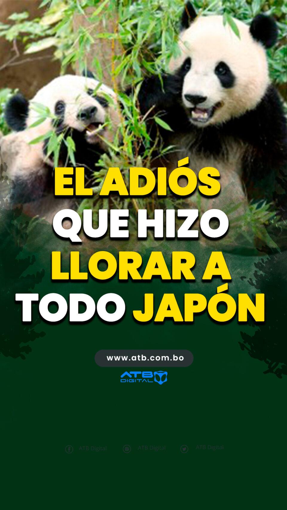 El adiós que hizo llorar a todo Japón