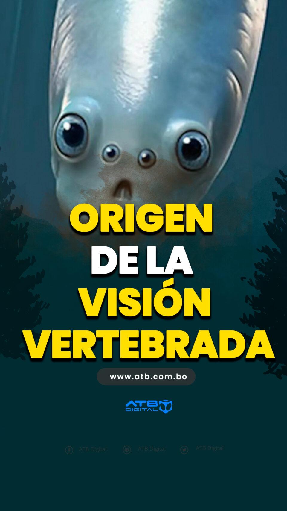 Origen de la visión vertebrada