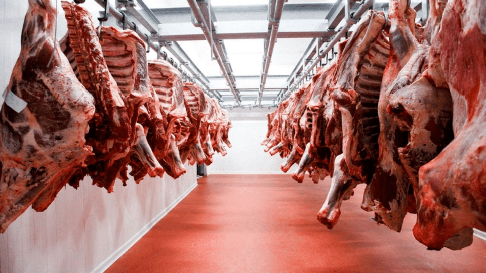 Bolivia apunta a tener “diversificación” en la exportación de carne