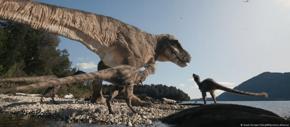 Revelan la cantidad de años en la que un T. rex alcanzaba la adultez