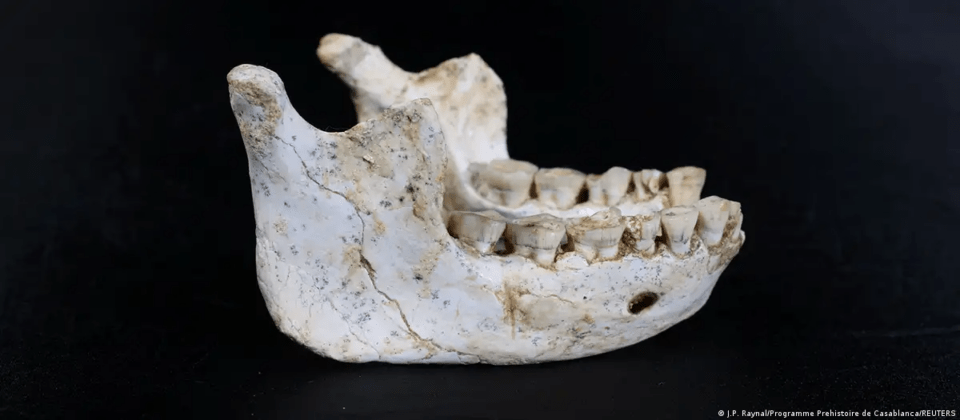 Hallazgo de fósiles desterrados podría redefinir el origen del Homo sapiens