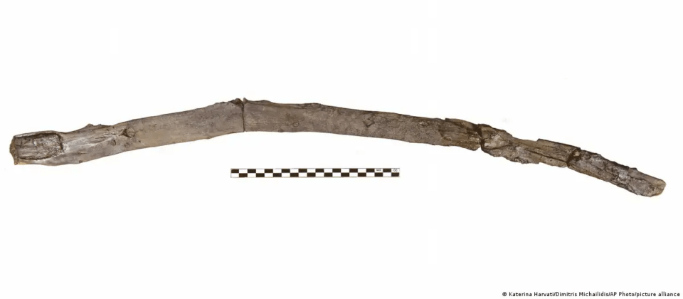 Descubren cómo eran las herramientas más antiguas del mundo