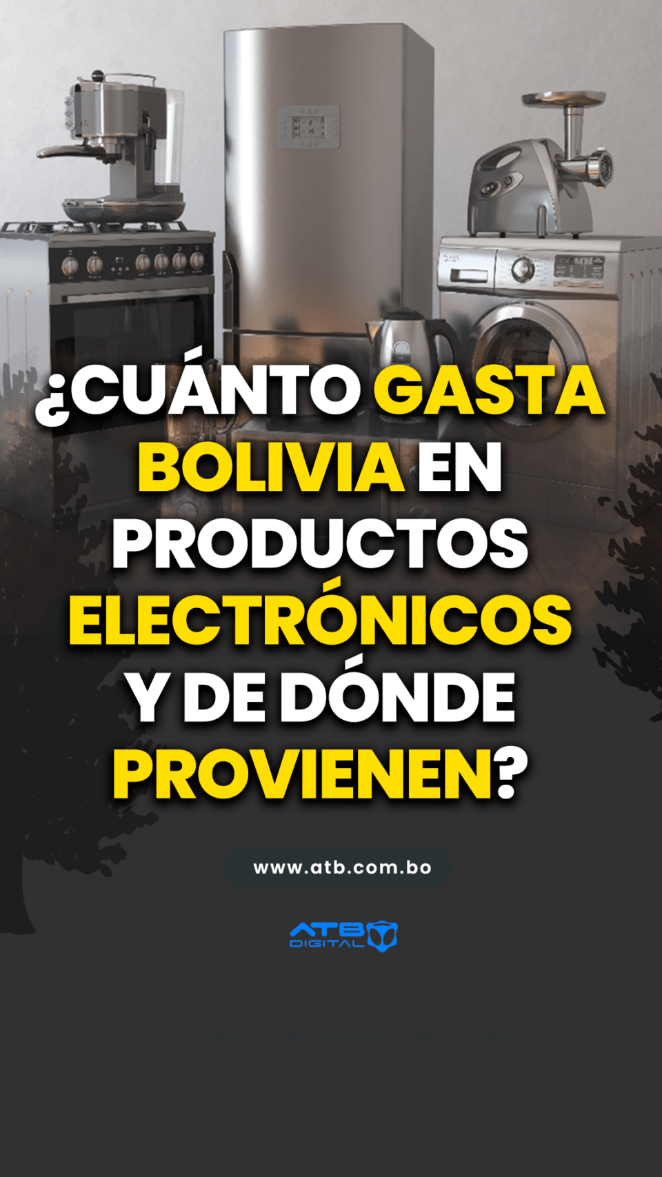 ¿Cuánto gasta Bolivia en electrodomésticos y de dónde provienen?