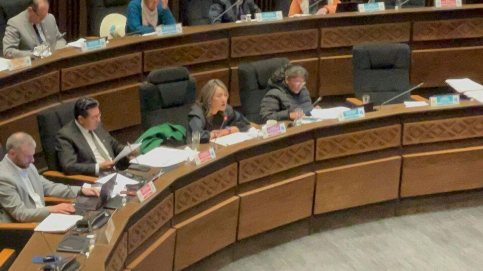 El Senado apoya la conformación de una destinada a elaborar Ley antibloqueos