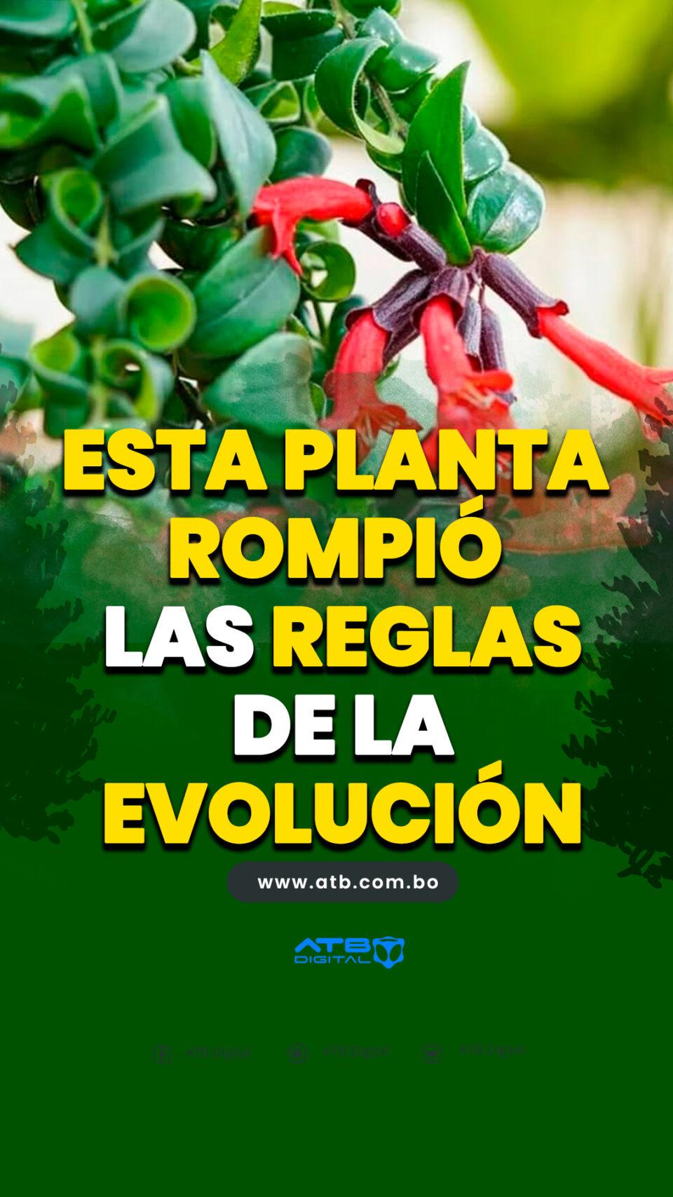 Esta planta rompió las reglas de la evolución