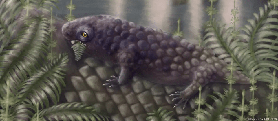 Hallan el fósil del que podría ser el herbívoro más antiguo jamás descubierto