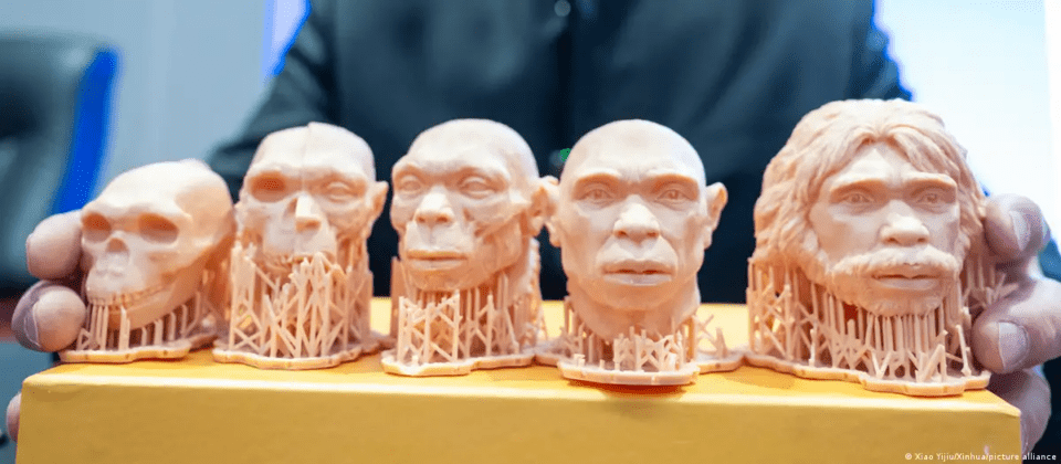 Los cráneos más antiguos hallados en China revelan más sobre la historia de los primeros humanos