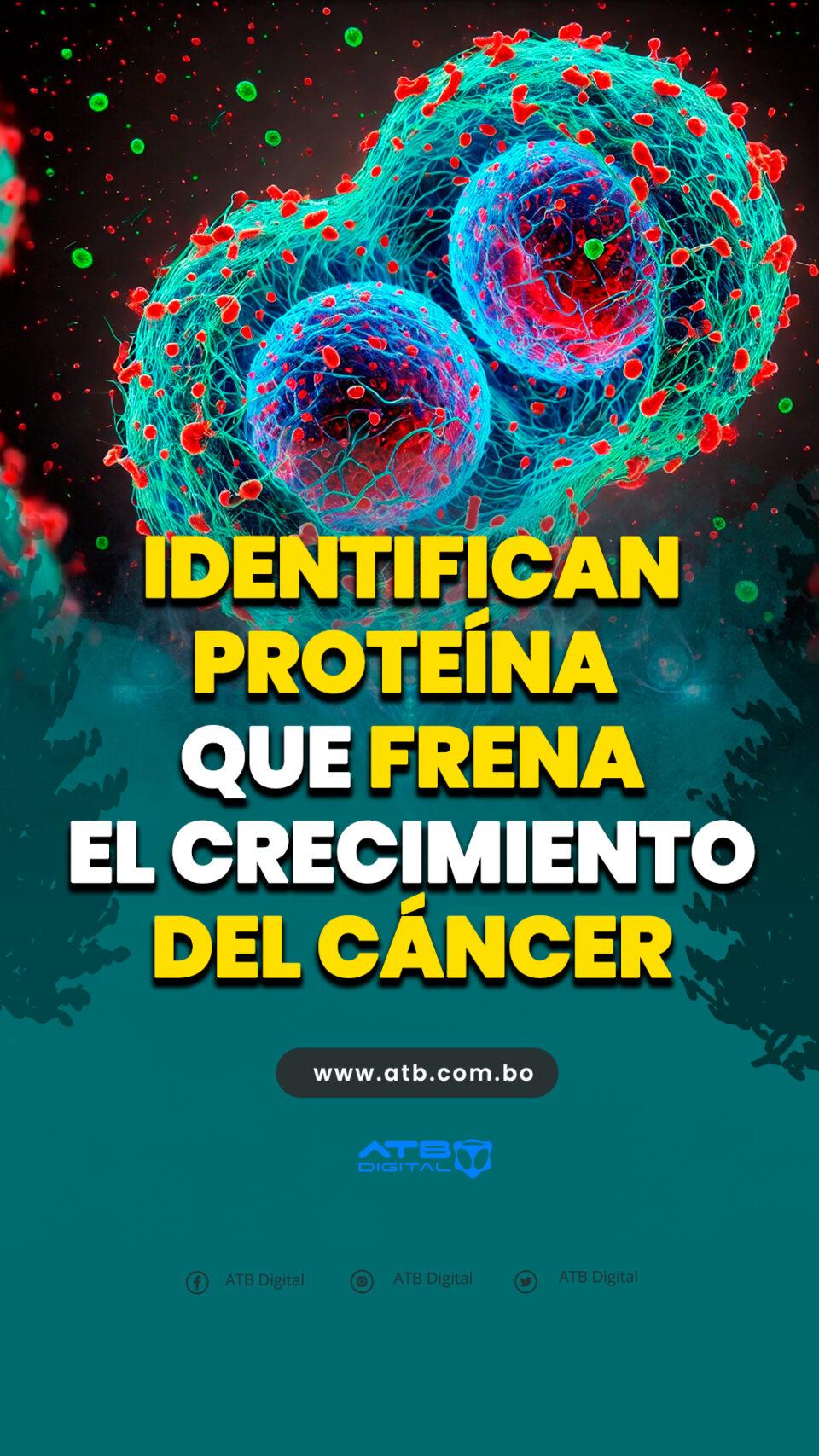 Identifican proteína que frena el crecimiento del cáncer