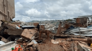 Captura de pantalla 2026-02-24 161046