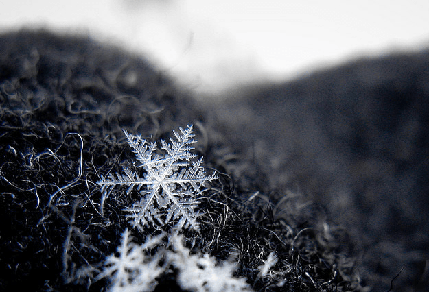 No existen copos de nieve que sean exactamente iguales