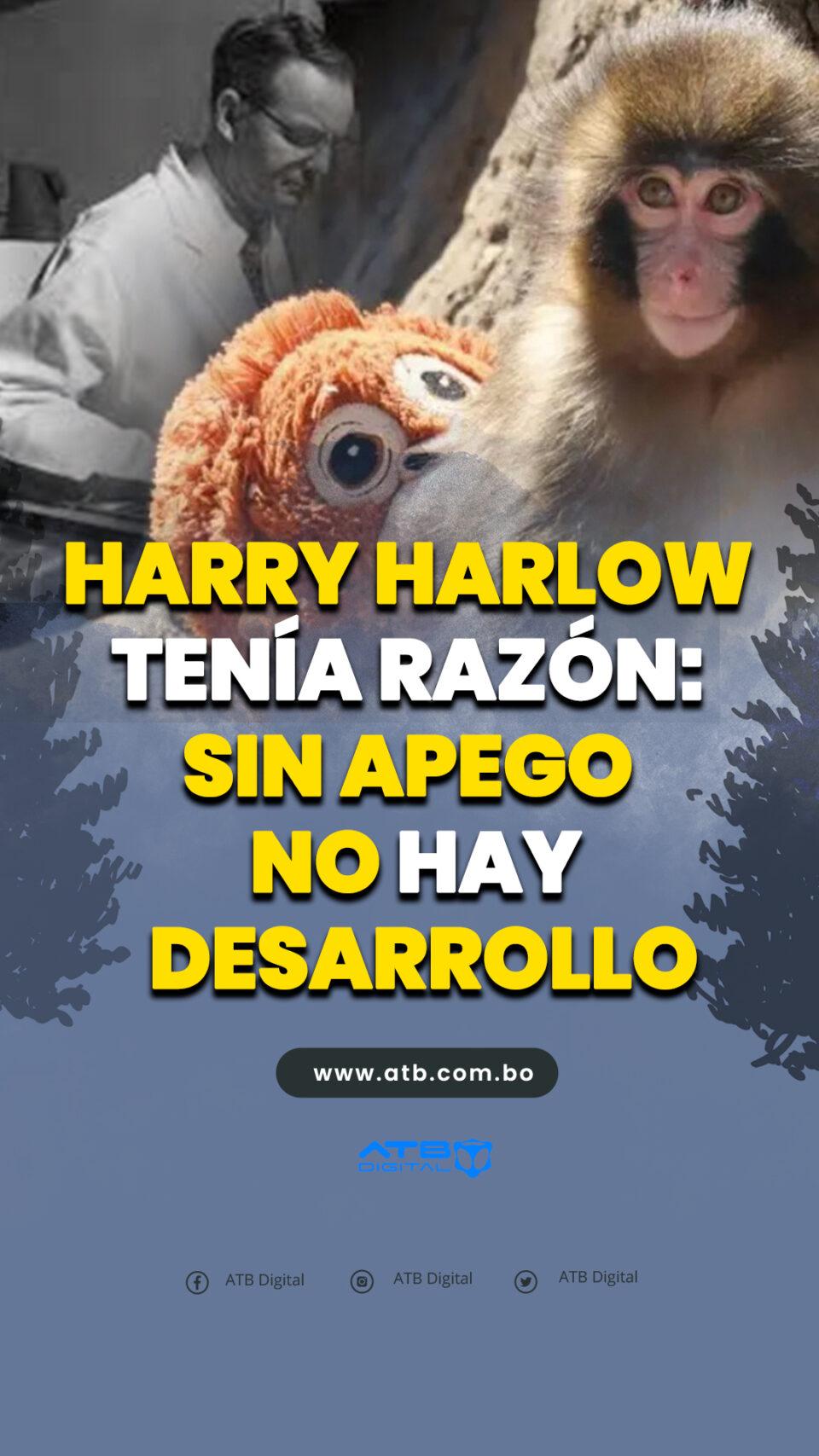 Harry Harlow tenía razón: sin apego no hay desarrollo
