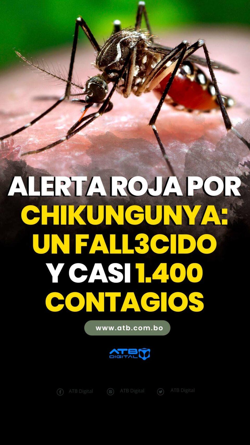 Alerta roja por Chikungunya: un fallecido y casi 1.400 contagios