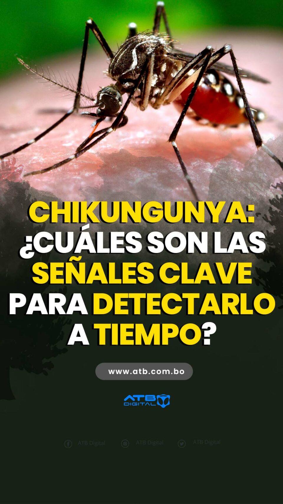 Chikungunya: ¿Cuáles son las señales clave para detectarlo a tiempo?