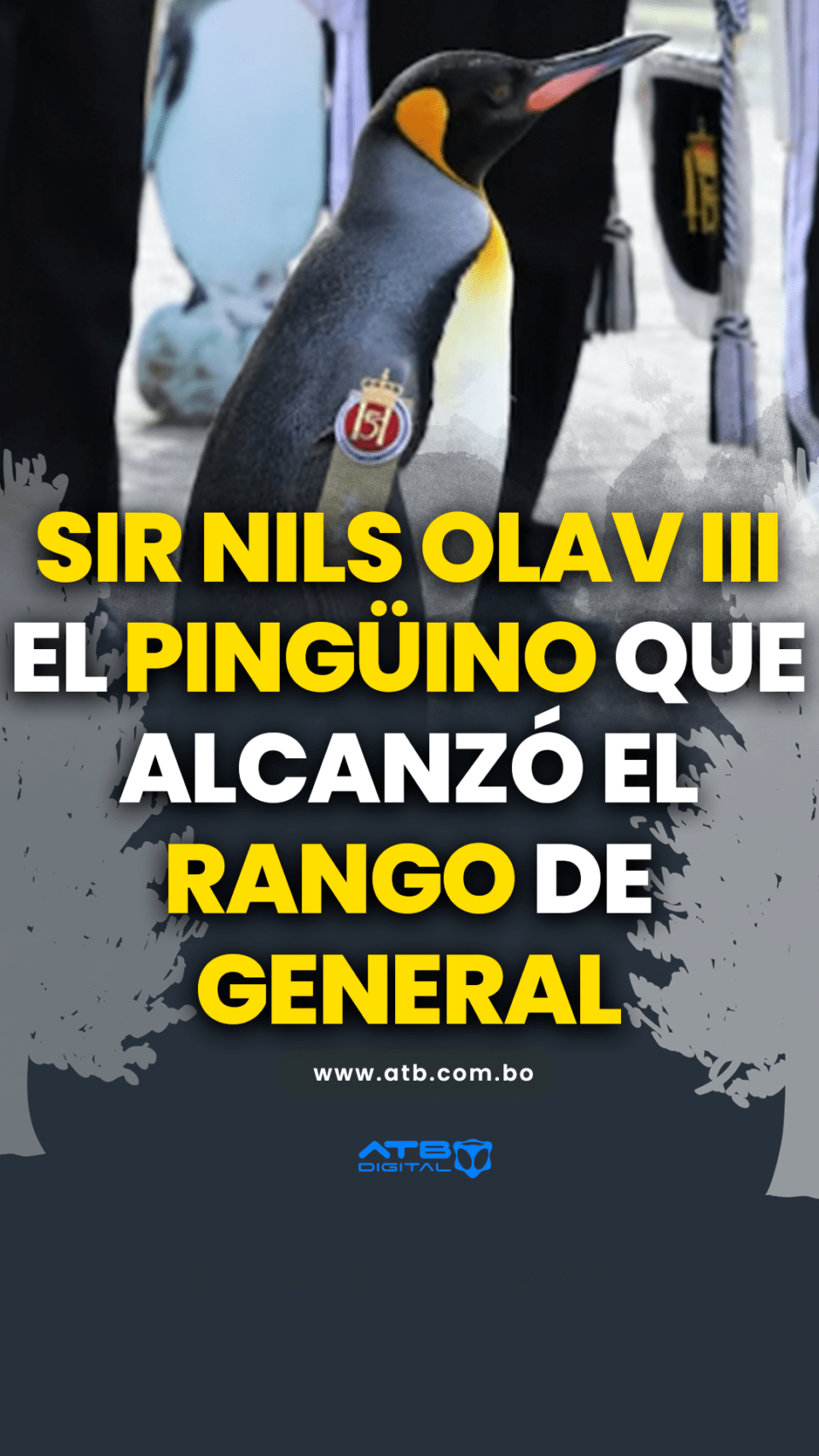Sir Nils Olav III el pingüino que alcanzó el rango de general