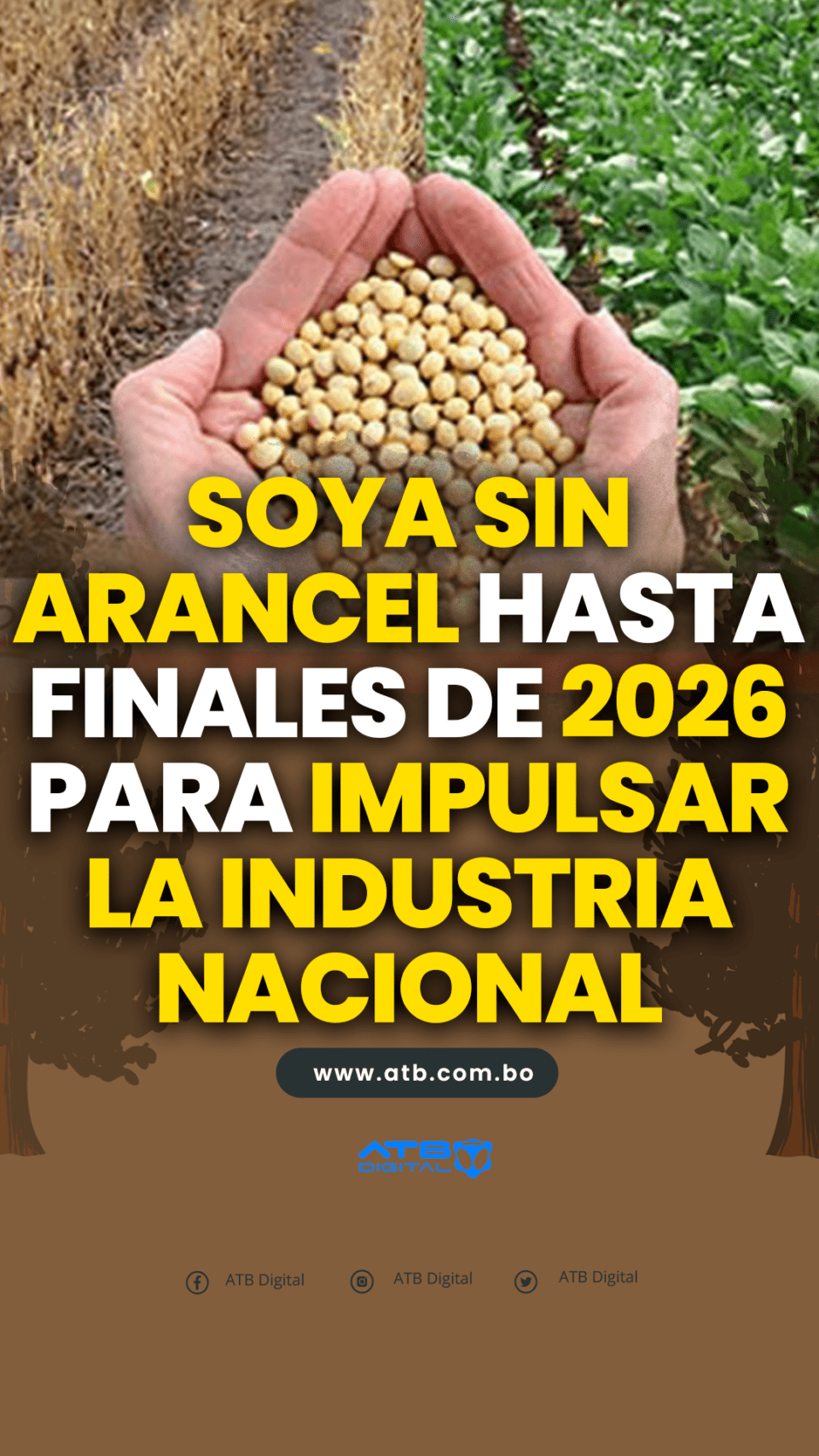 Soya sin arancel hasta finales de 2026 para impulsar la industria nacional