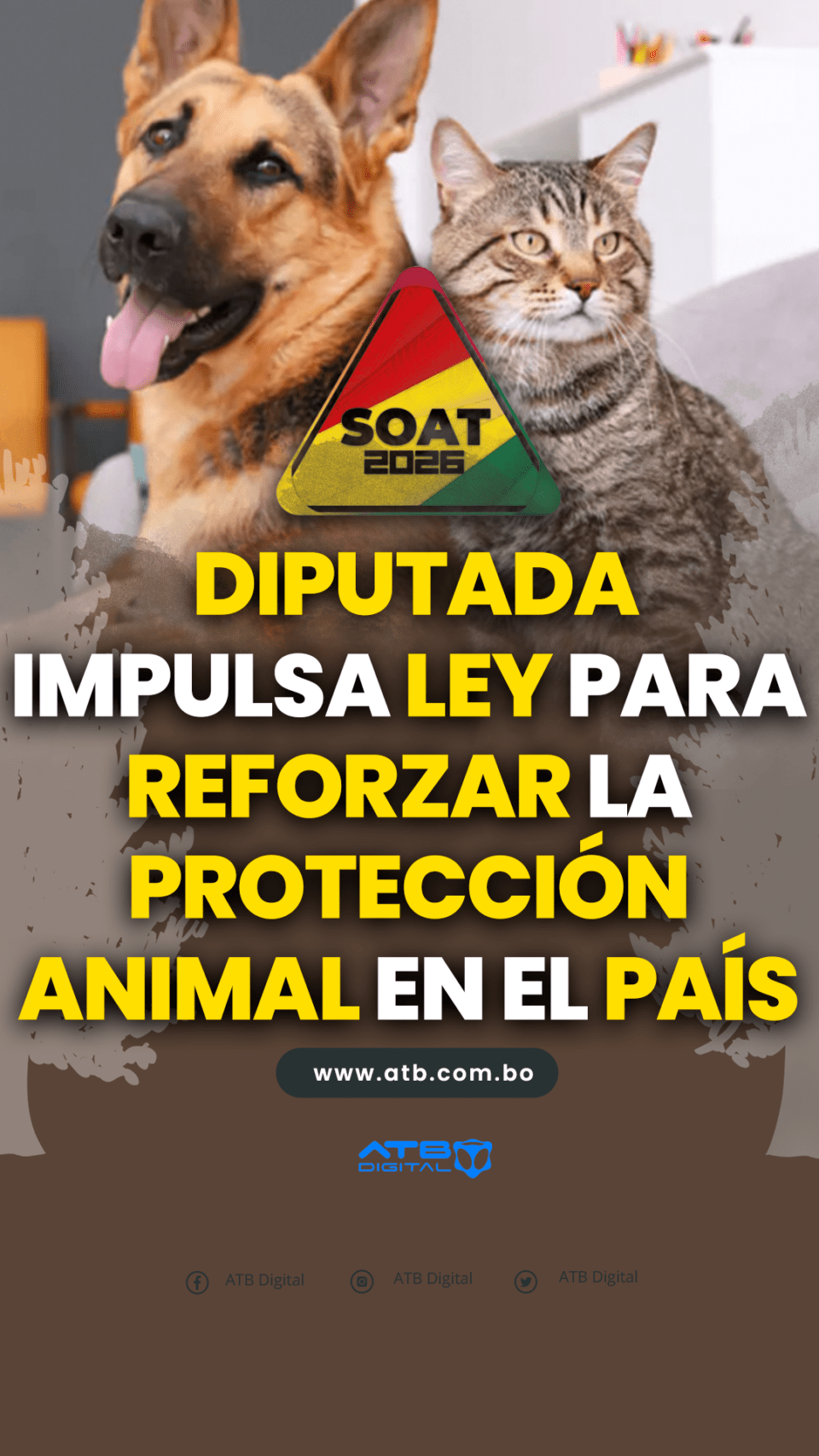 Diputada impulsa ley para reforzar la protección animal en el país