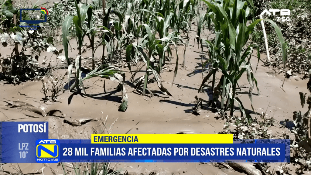 28 mil familias afectadas por fenómenos naturales en Potosí