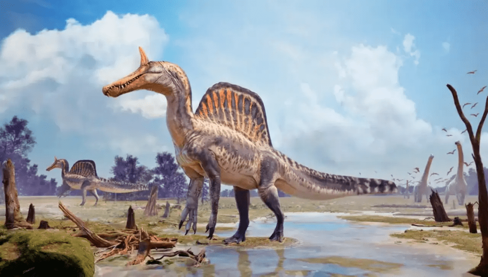 Spinosaurus mirabilis: una nueva especie de dinosaurio sería un girante acuático del Cretácico