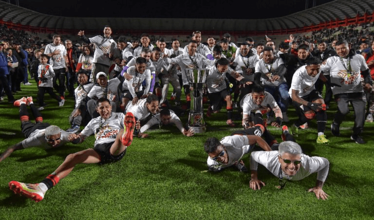 La División Profesional define su temporada 2026 con dos torneos