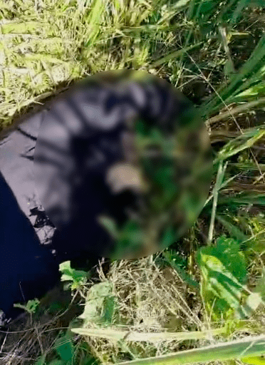 Hallan el cuerpo sin vida de la mujer secuestrada en Entre Ríos