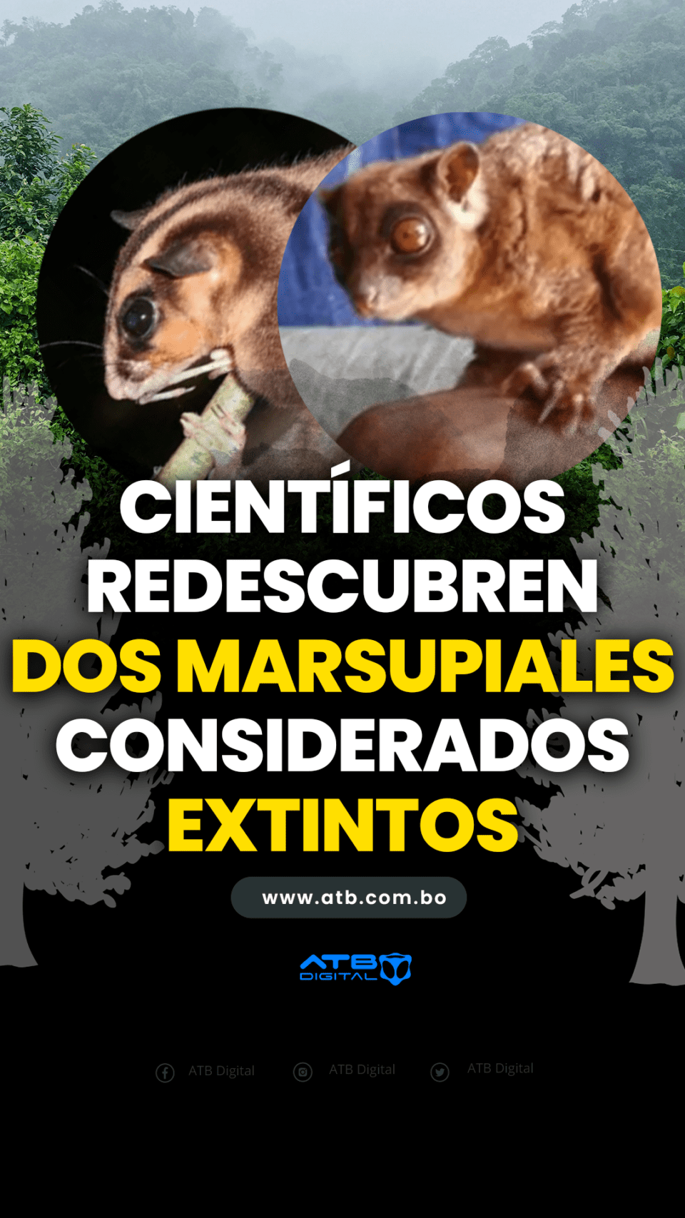 Científicos redescubren dos marsupiales considerados extintos