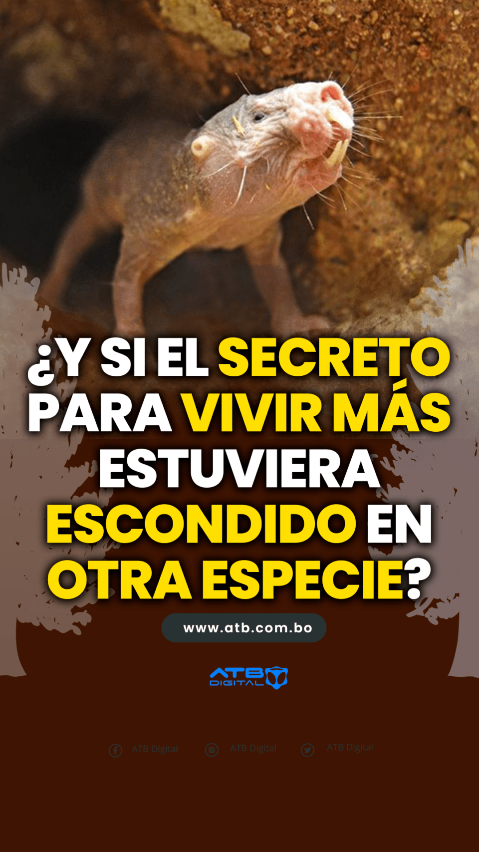 ¿Y si el secreto para vivir más estuviera escondido en otra especie?