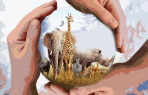 Nuevas especies obtienen protección internacional frente a la extinción Nuevas especies obtienen protección internacional frente a la extinción