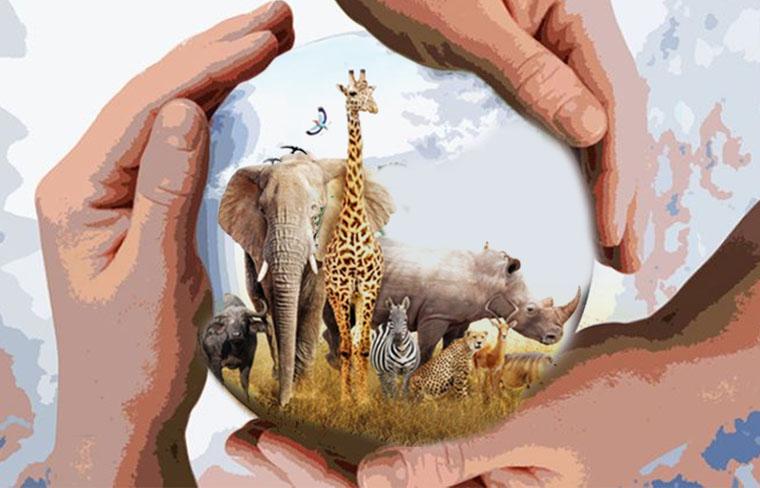 Nuevas especies obtienen protección internacional frente a la extinción