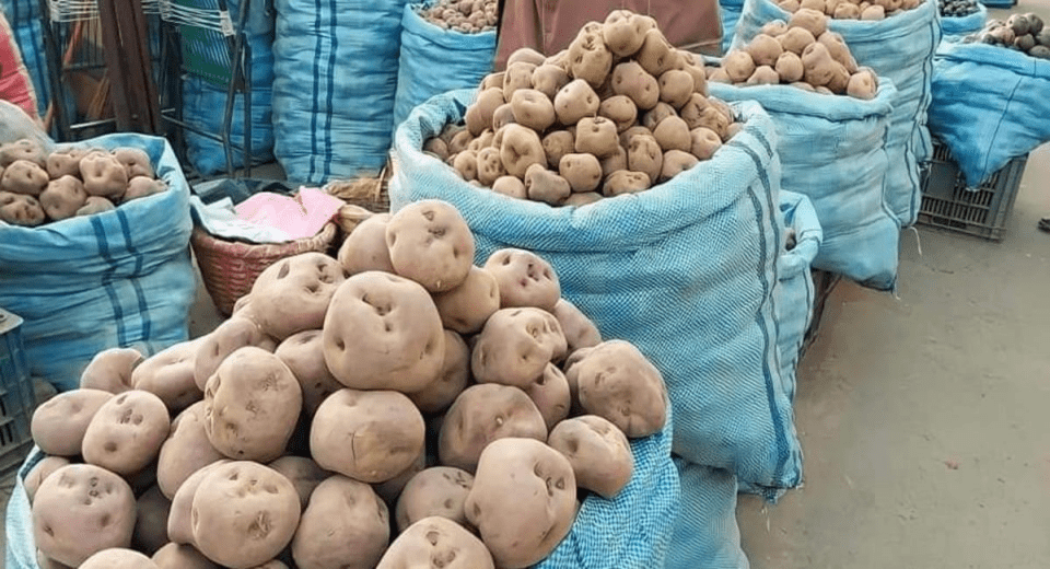 Trabajadores Campesinos de La Paz advierten posible incremento de precios en la venta de papa