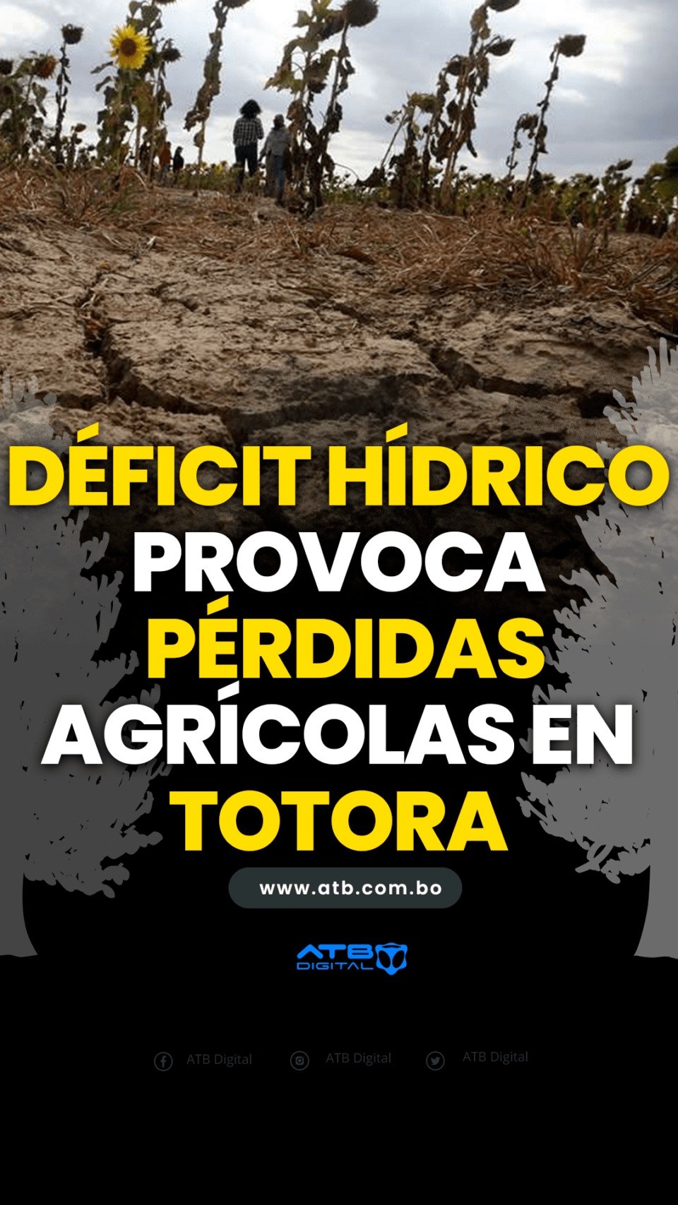 Déficit hídrico provoca pérdidas agrícolas en Totora
