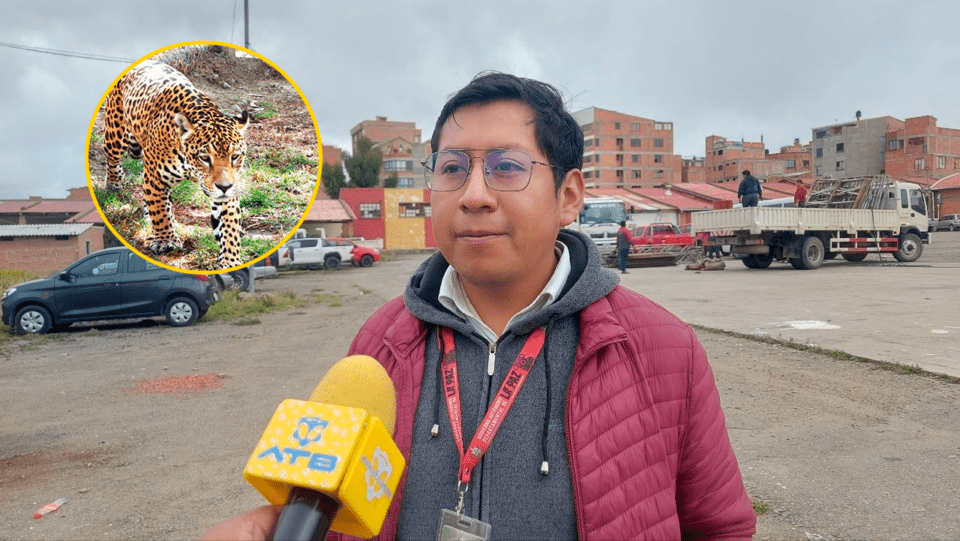 Gobernación paceña duda de que el joven decapitado en La Asunta sea por ataque de jaguar