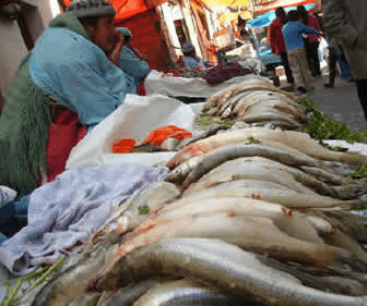 Llega la "Feria del Pescado" para el 1 y 2 de abril en La Paz