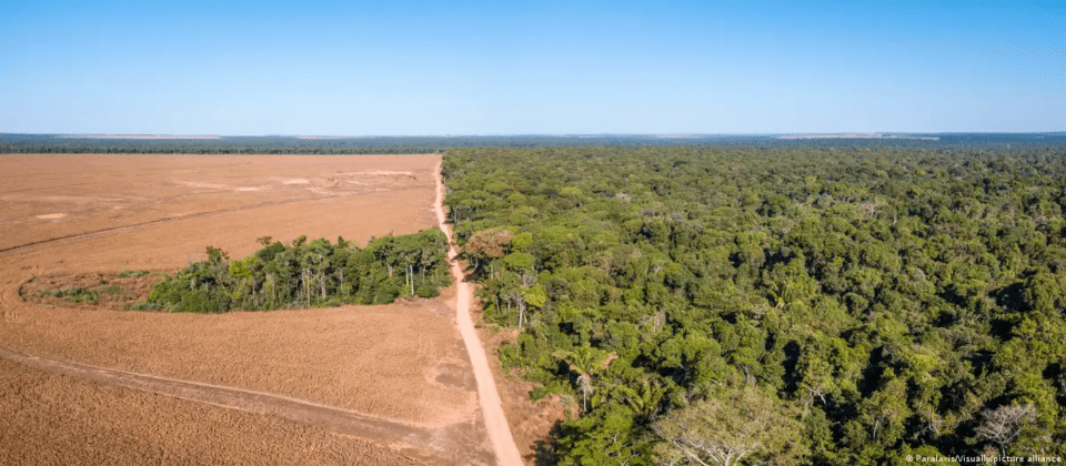 Deforestación en el estado brasileño de Mato Grosso, en el corazón de la cuenca amazónica.