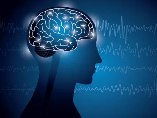 ¿A qué edad empieza a deteriorarse más rápido el cerebro?