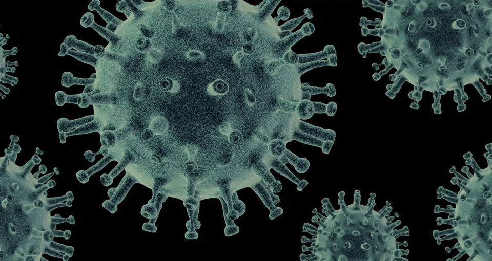 hantavirus
